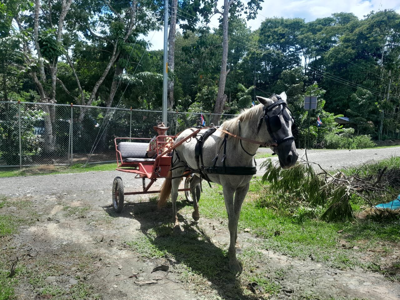 VENTA DE PROPIEDAD CARIBE A 20 MIN DE PUNTA UVA - foto 6