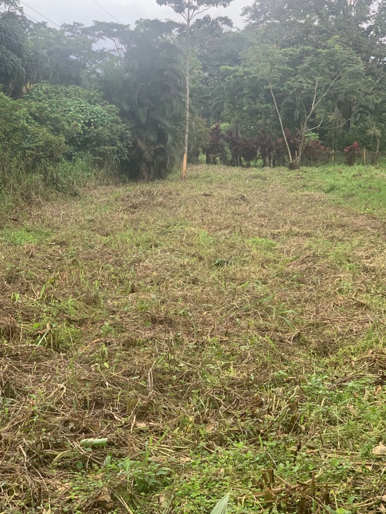 Lote en venta en Peñas Blancas, San Ramón - foto 3