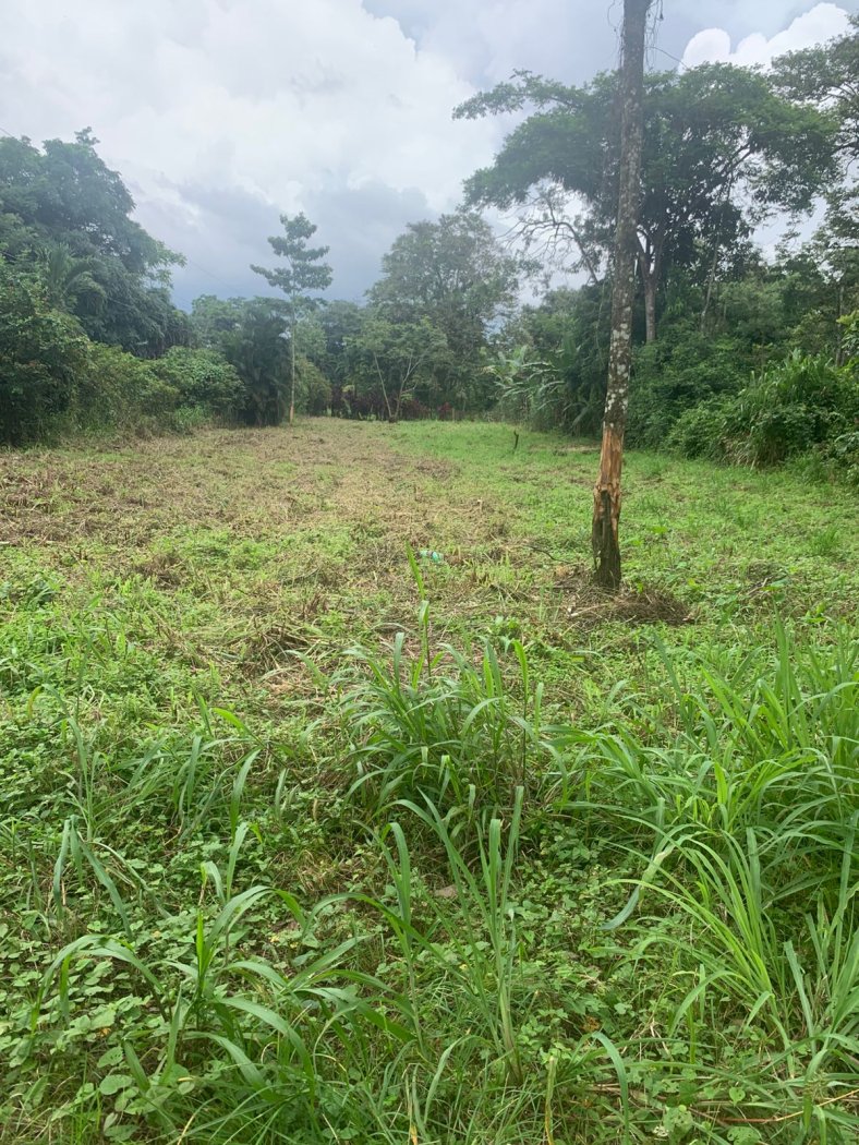 Lote en venta en Peñas Blancas, San Ramón