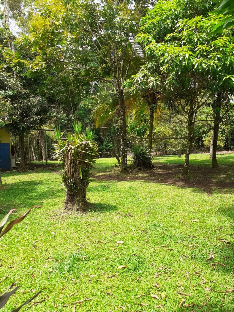 Lote con casa en venta La Tigra de San Carlos - foto 4