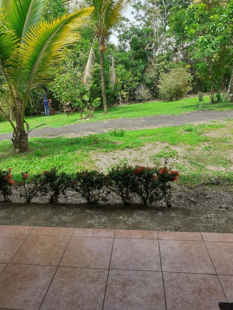Lote con casa en venta La Tigra de San Carlos - foto 3