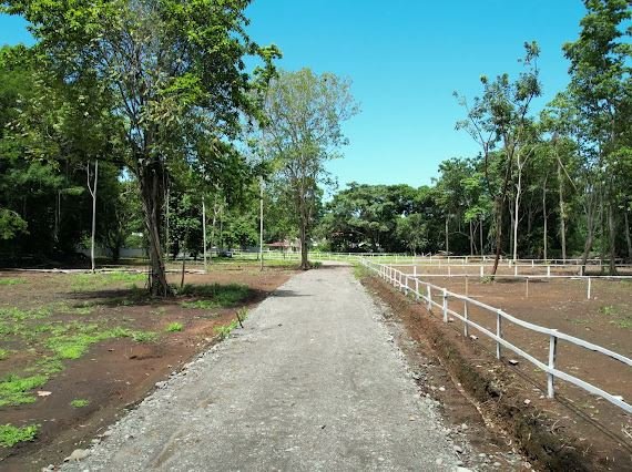 Venta de lotes 100% financiados en el Caribe Sur - foto 3