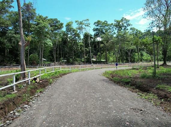 Venta de lotes 100% financiados en el Caribe Sur - foto 5