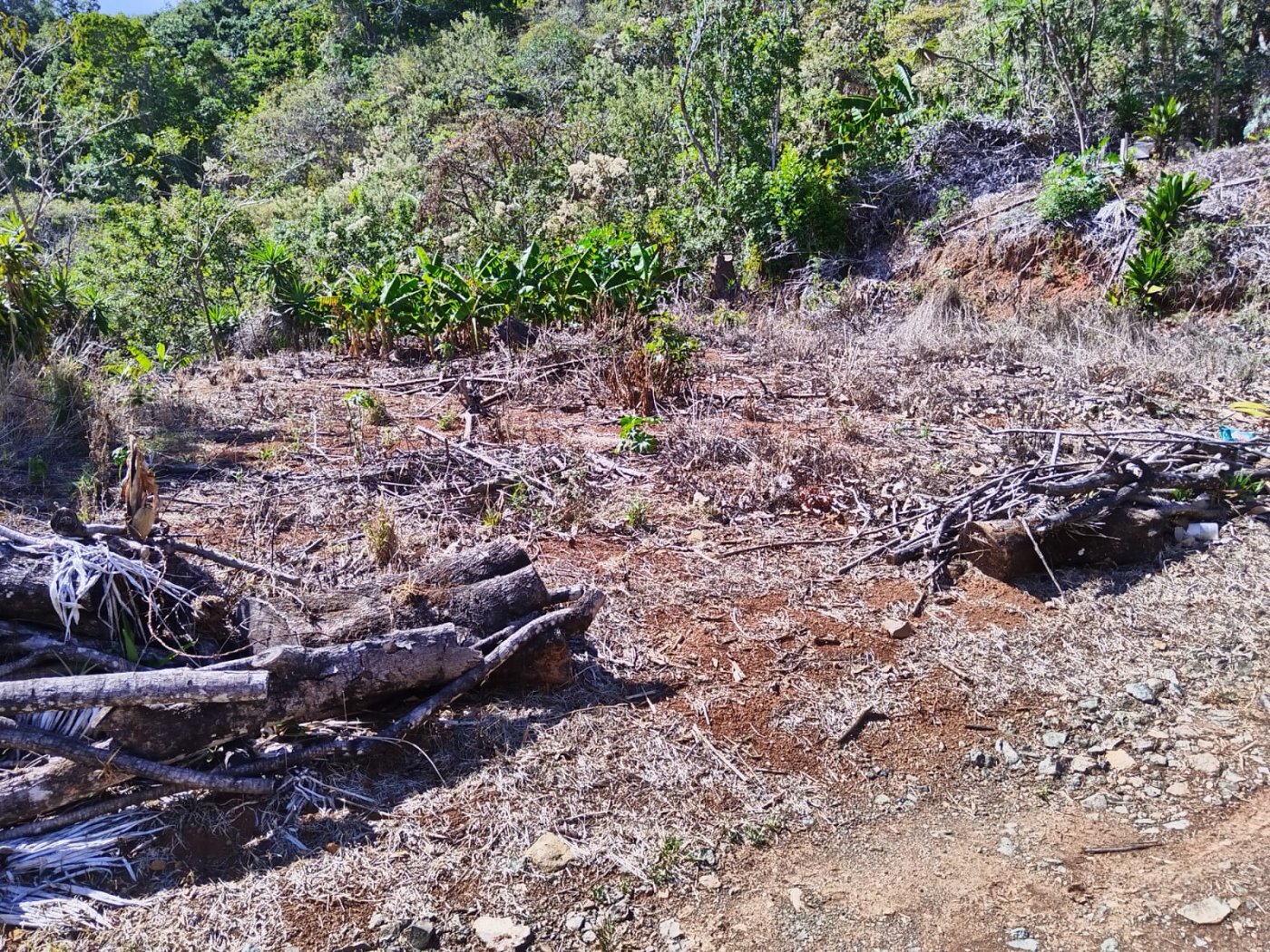 LOTE EN VENTA VUELTA DE JORCO ASERRI - foto 5