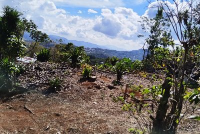 LOTE EN VENTA VUELTA DE JORCO ASERRI